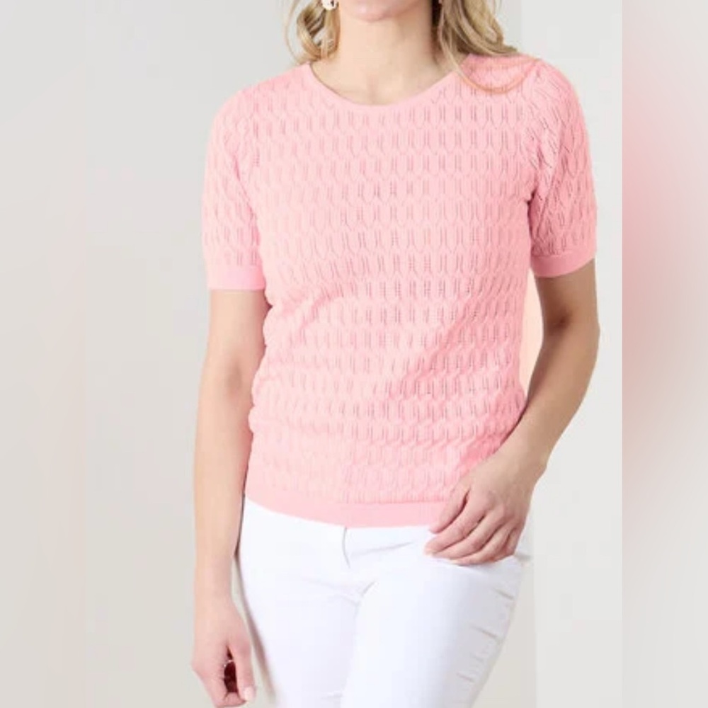 Cleo Scallop Pointelle Knit Short Sleeve Sweater - Pink - Medium